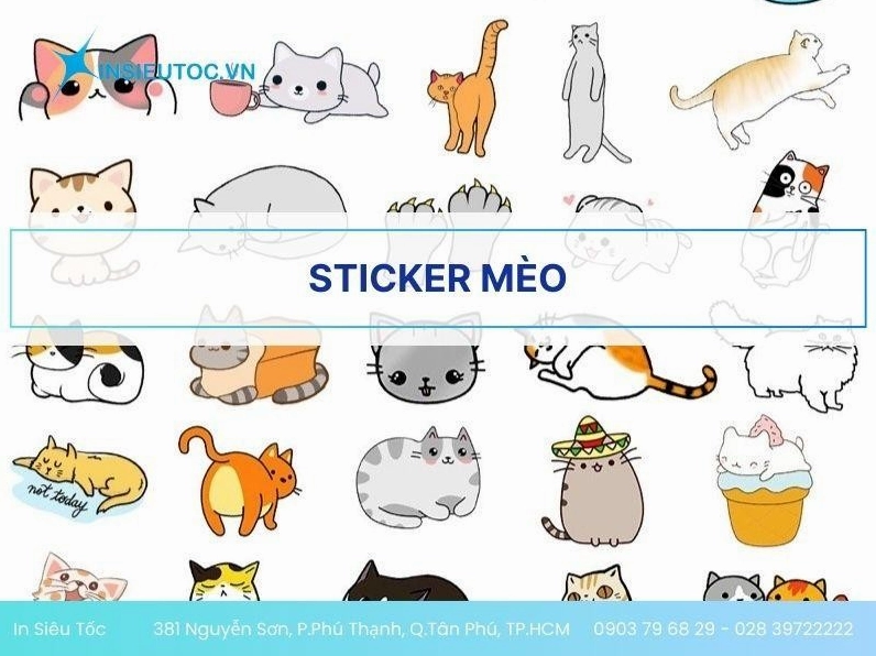 Sticker mèo meme gật gù buồn ngủ
