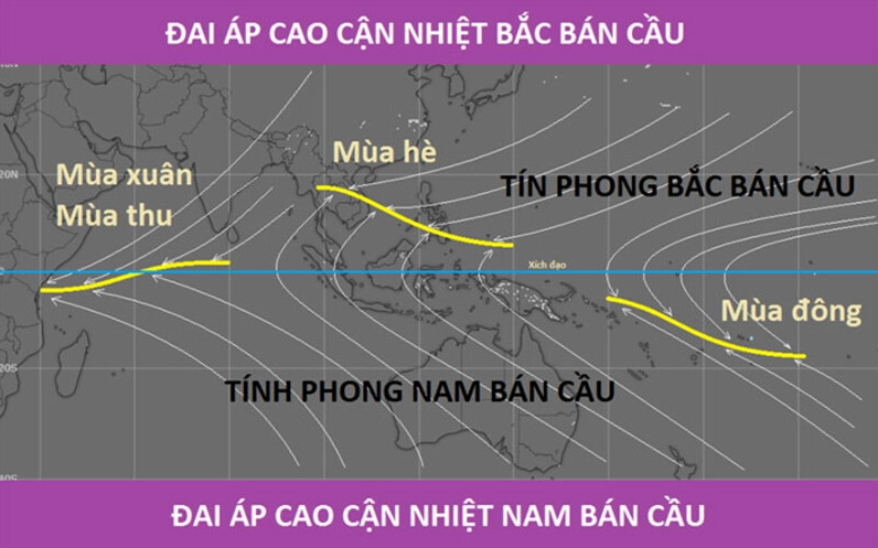 Sự ảnh hưởng của gió tín phong tại khu vực Việt Nam