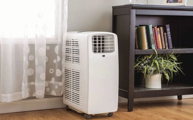 Sử dụng máy hút ẩm để ngăn ngừa hiện trạng nấm mốc vào mùa nồm