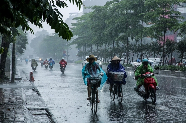 Sự khác biệt giữa gió chướng và các đợt gió mùa đông bắc thông thường