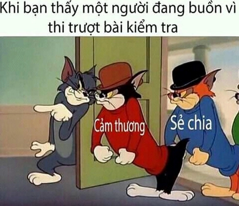 Sưu tầm những bức meme an ủi nhẹ nhàng