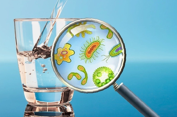 Tác hại của vi sinh vật ẩn chứa trong nguồn nước đối với sức khỏe