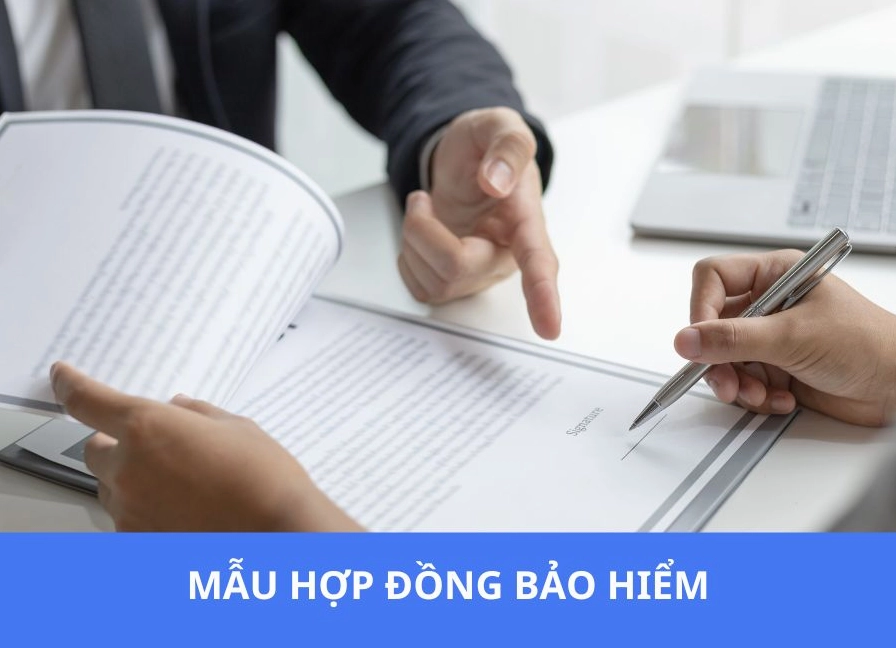 Tham khảo thêm các biểu mẫu hợp đồng bảo hiểm liên quan
