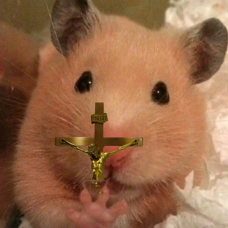 Thánh gắt là đây meme con chuột cầm thánh giá