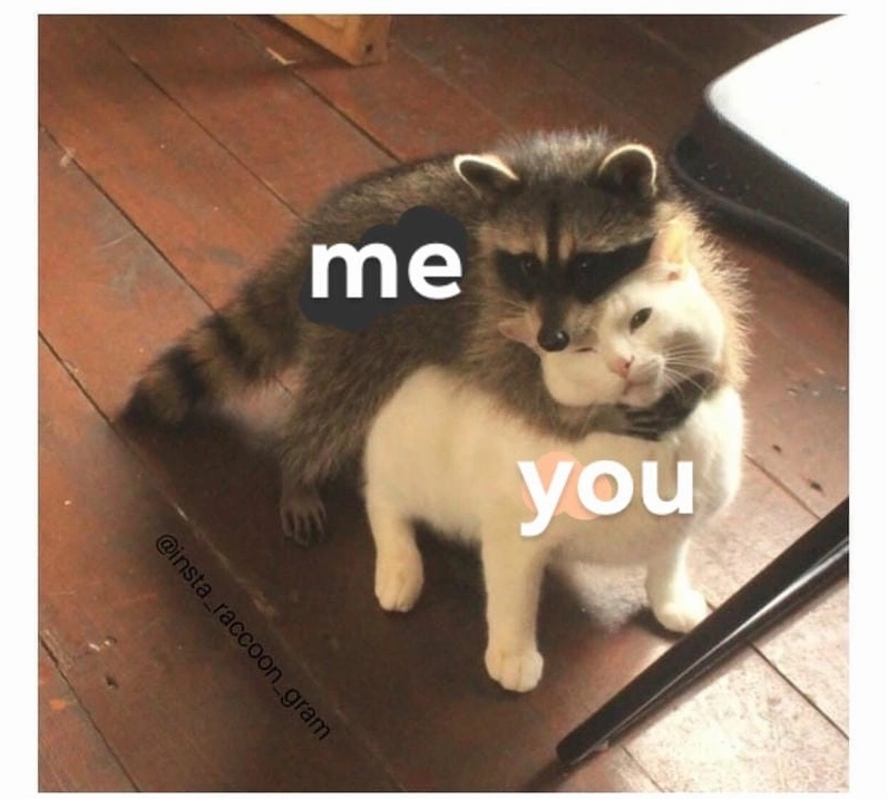 Tìm hiểu sức hút của meme an ủi