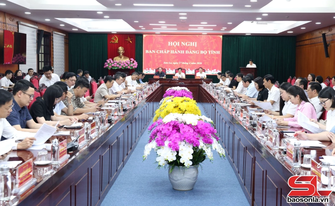 Tin tức mới về các quy định pháp luật