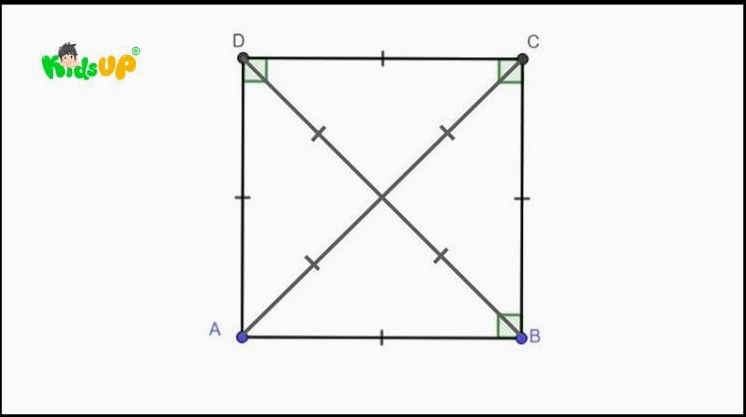 Tính chất cấu tạo của hình vuông