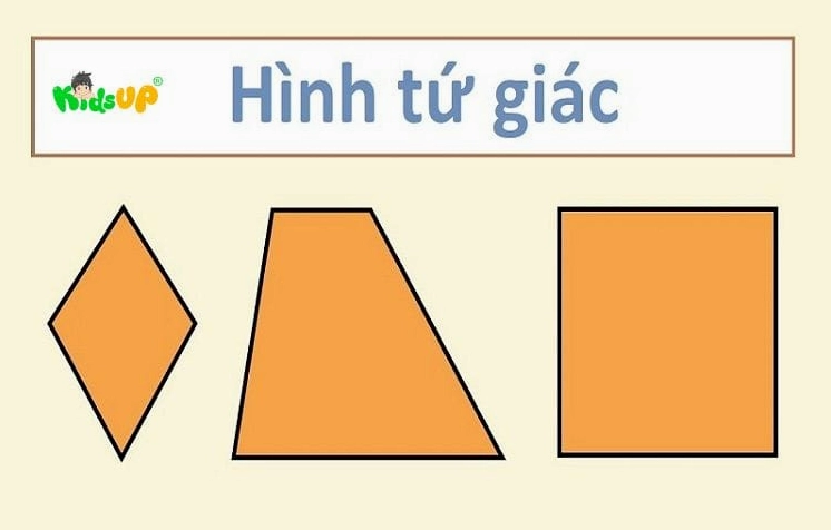 Tính chất chung của các loại hình tứ giác