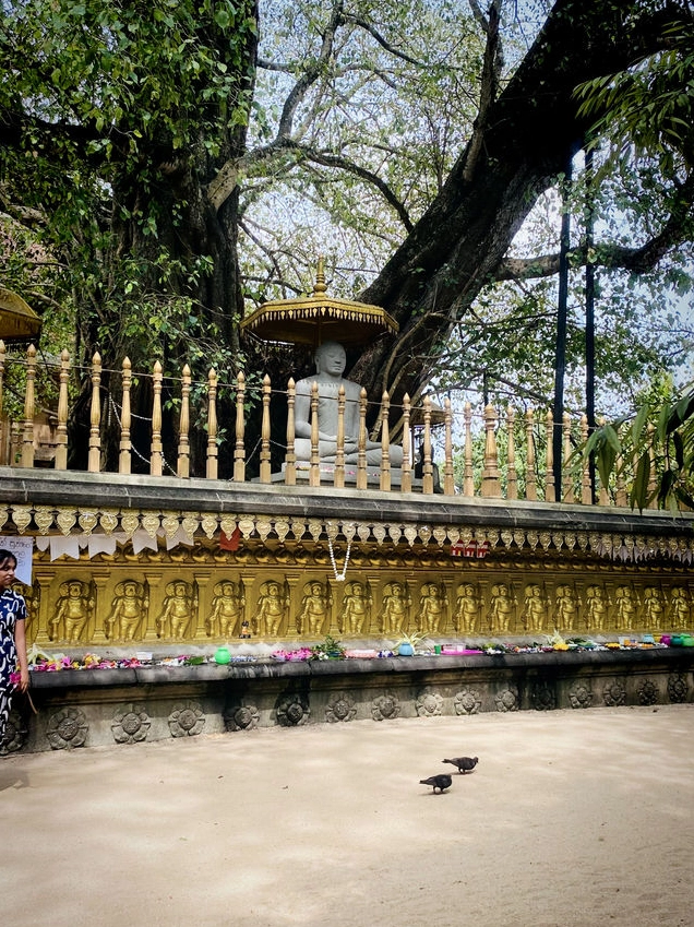 Toàn cảnh chánh điện uy nghi tráng lệ của Chùa Kelaniya Raja nhìn từ bên ngoài