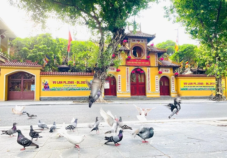 Toàn cảnh không gian thanh tịnh và uy nghiêm tại Chùa Quán Sứ Hà Nội