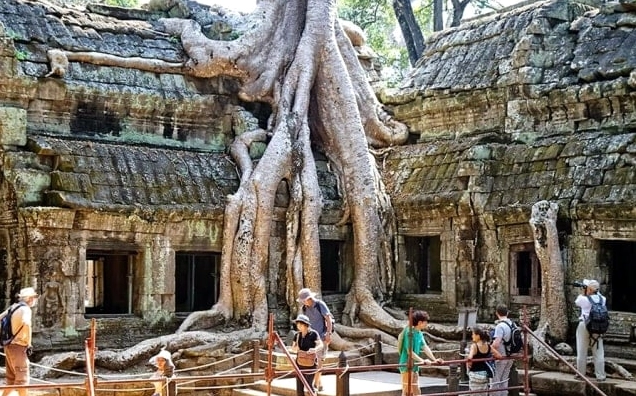 Toàn cảnh ngôi chùa Ta Prohm uy nghi tráng lệ nhìn từ xa