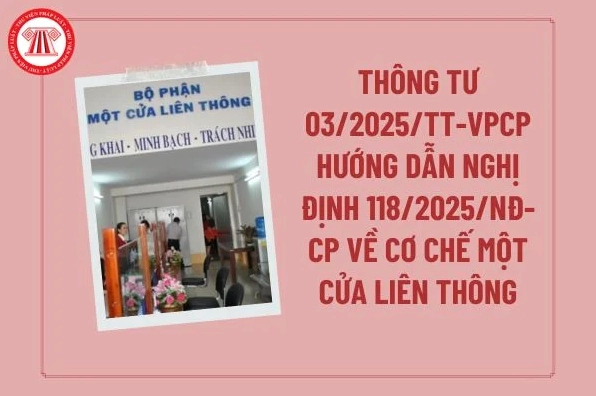 Toàn văn Thông tư 03/2025/TT-VPCP hướng dẫn Nghị định 118/2025/NĐ-CP