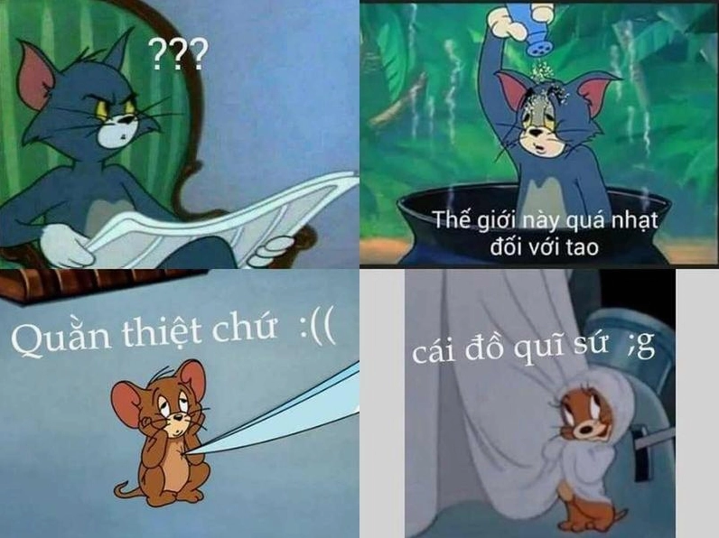 Tom và Jerry Meme Khám Phá Kho Tàng Hài Hước Bất Tận Từ Tuổi Thơ