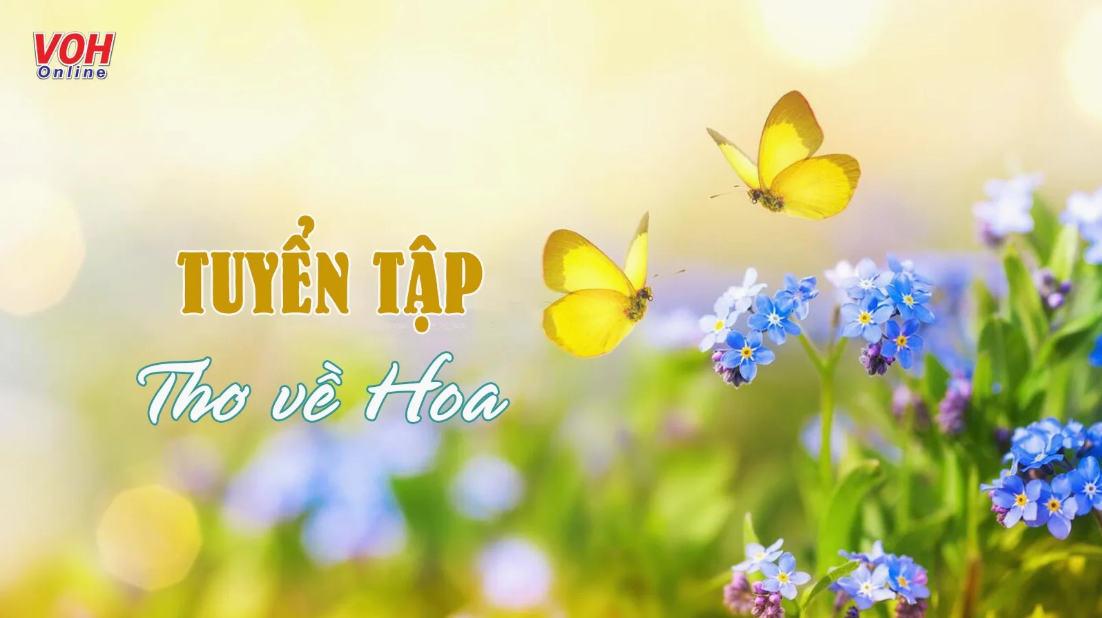 Tổng hợp 30 bài thơ về hoa bay bổng khiến trái tim thổn thức