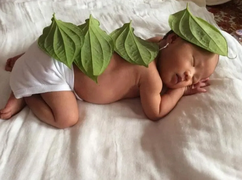 Top 5 dịch vụ chăm sóc mẹ và bé sau sinh hàng đầu tại Quảng Trị