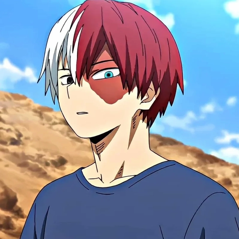 Top ảnh Shoto Todoroki đẹp nhất cho fan anime yêu thích