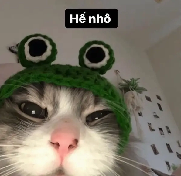 Top hình chất lượng hình hello meme để chia sẻ