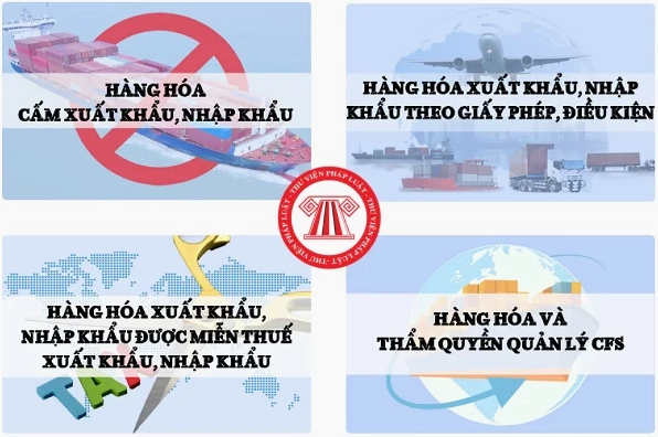 Tra cứu hàng hóa xuất nhập khẩu và các quy định thanh toán quốc tế