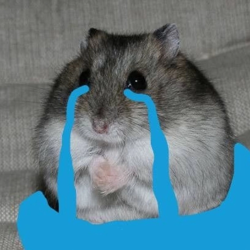 Trọn bộ biểu cảm khó đỡ của meme chuột jerry