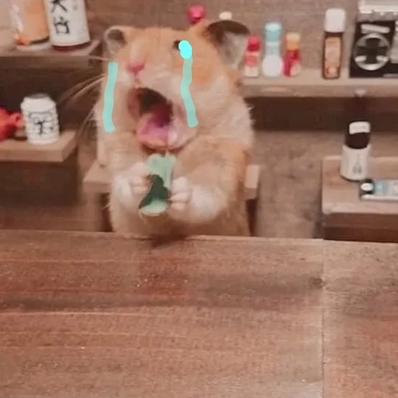 Update avatar bằng avatar chuột hamster meme siêu dễ thương