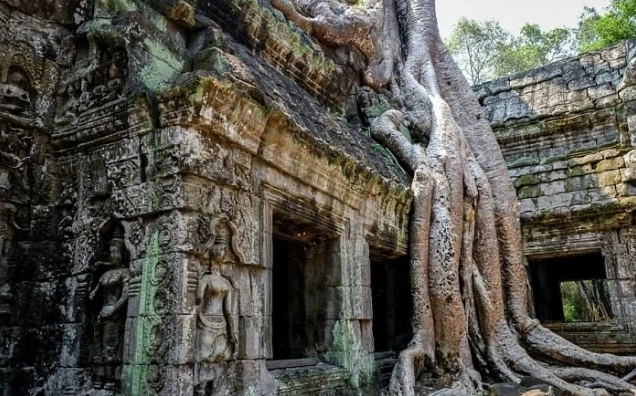 Vẻ đẹp huyền bí của ngôi chùa Ta Prohm được thiên nhiên ôm trọn