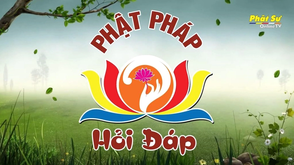 Video Hỏi đáp Phật pháp Thực hành cúng dường sao cho trí tuệ và trọn vẹn Phước báu