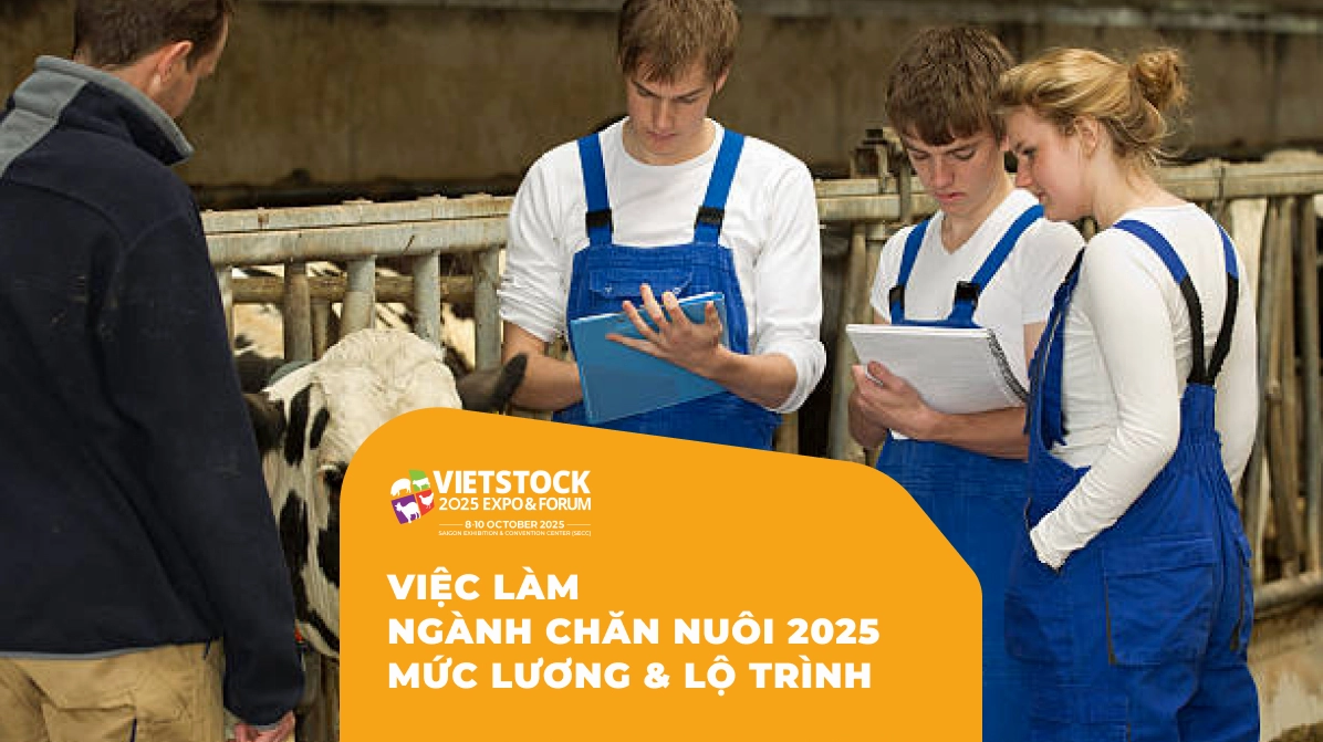 Việc làm ngành chăn nuôi Việt Nam 2025 cơ hội mức lương và lộ trình phát triển sự nghiệp