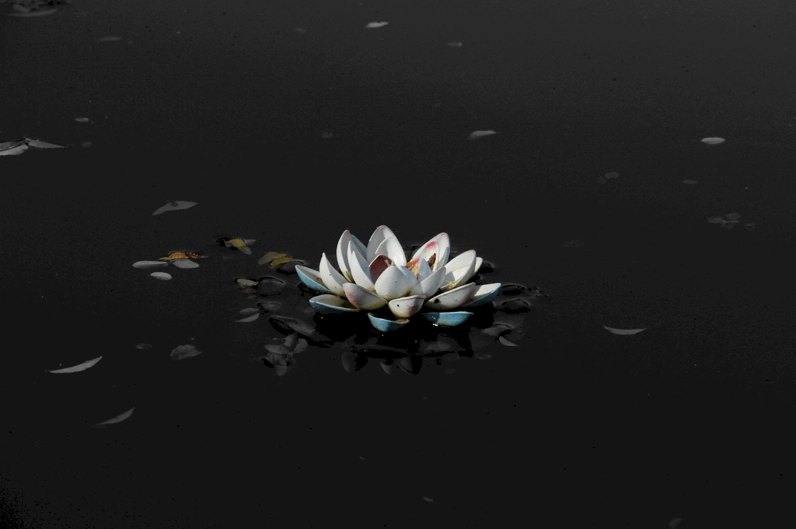 Wallpaper dark girl quyến rũ và bí ẩn