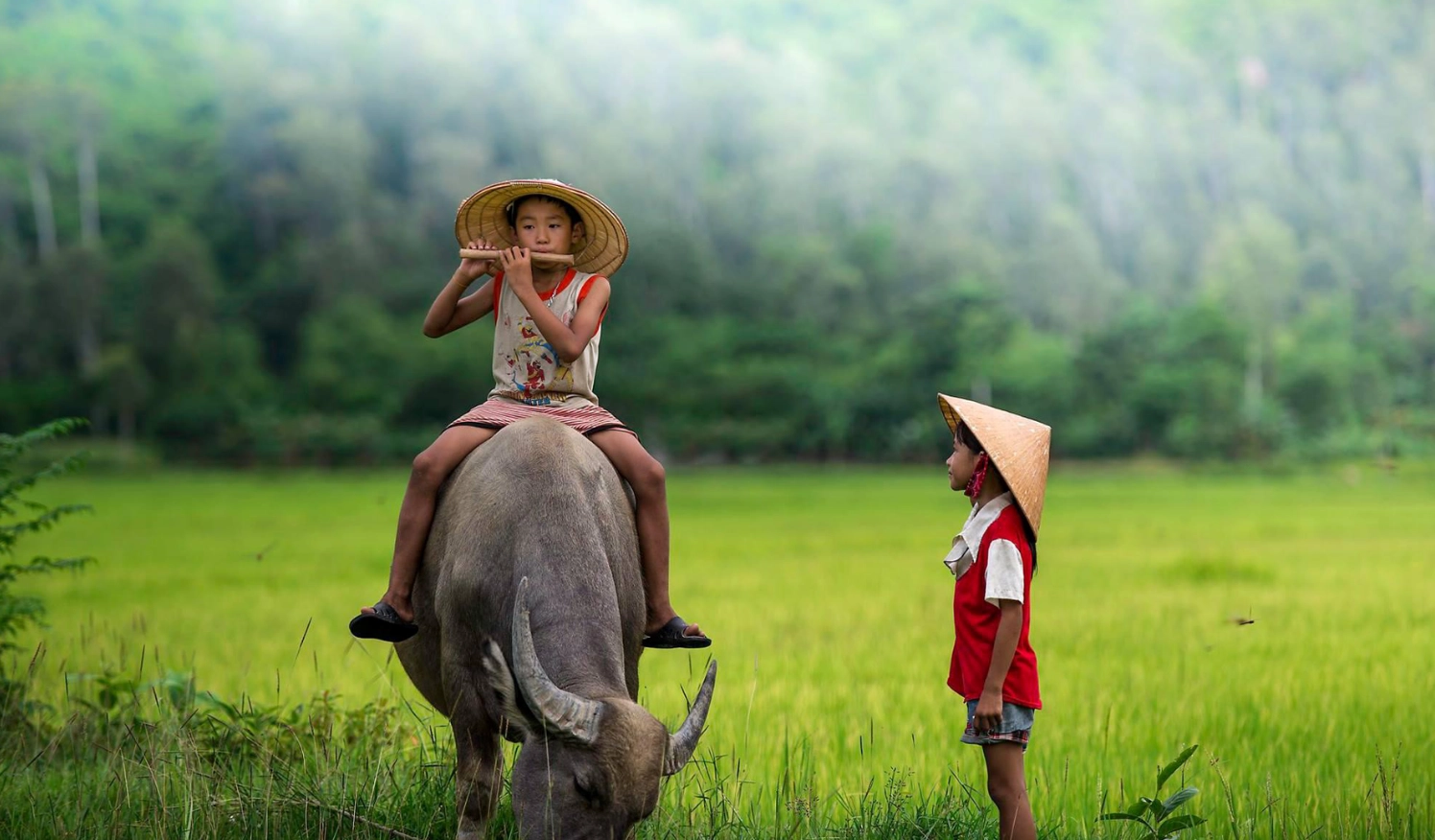Wallpaper thiên nhiên cảnh trẻ em vùng quê vui đùa chăn trâu