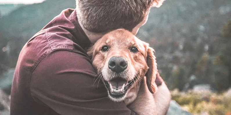 Ý nghĩa nằm mơ thấy động vật nói tiếng người đánh con gì