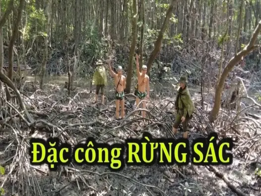Rừng Sác - Nơi lưu giữ ký ức chiến tranh và di tích Việt Nam