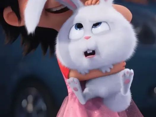 Top ảnh avatar con thỏ dễ thương gây bão mạng xã hội