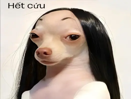 Ảnh meme hết cứu bá đạo khiến dân tình phát cuồng trước