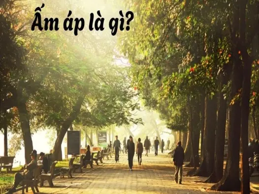 Ấm áp là gì? Đặc trưng khí hậu trong khu vực nhiệt đới