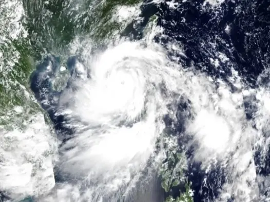 Bão (Typhoon) là gì? Hiện tượng thời tiết cực đoan đáng sợ