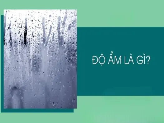 Độ ẩm là gì và mối liên hệ chặt chẽ với nhiệt độ không khí