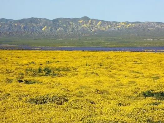 Đồng bằng là gì? Vùng đất màu mỡ nuôi dưỡng sự sống