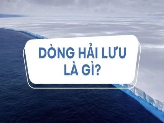 Dòng hải lưu là gì? Bí ẩn sức mạnh di chuyển của đại dương