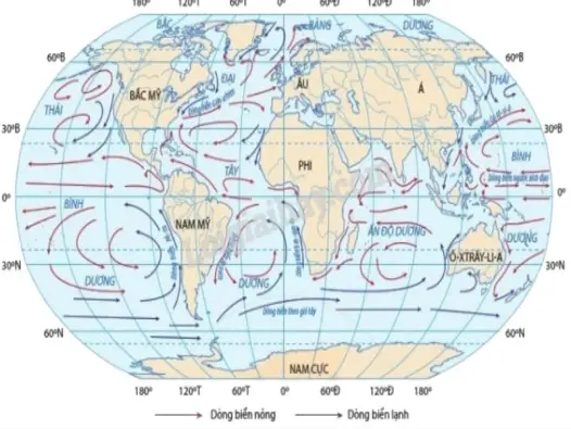 Dòng lạnh là gì? Yếu tố quyết định nhịp sống của đại dương