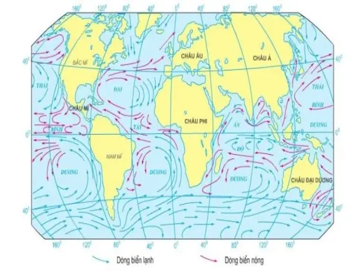 Dòng nóng là gì? Bí ẩn đằng sau sự thay đổi của đại dương