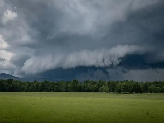 Dông là gì? Hiện tượng thời tiết dữ dội trong tự nhiên