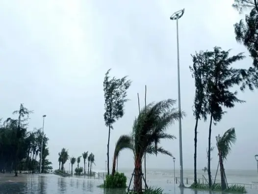 Gió mạnh là gì? Khi tự nhiên phô diễn sức mạnh khí lưu