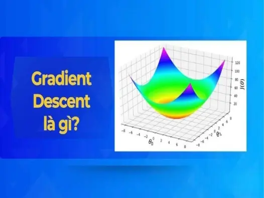 Gradient áp suất là gì? Hiện tượng quyết định hướng gió