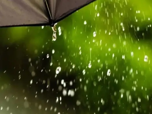 Hạt mưa là gì? Quá trình kỳ diệu trong chu trình nước