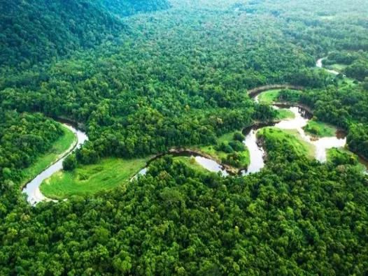 Khí hậu cận nhiệt đới ẩm là gì? Khí hậu đặc trưng châu Á