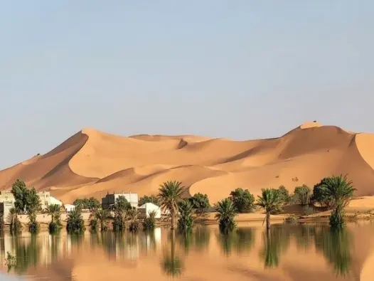 Khí hậu sa mạc là gì? Vùng đất khô cằn ẩn chứa điều kỳ diệu