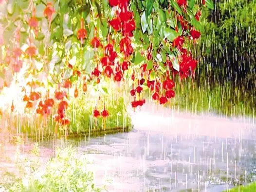 Mưa đầu mùa là gì? Dấu hiệu mở màn chu kỳ thời tiết mới