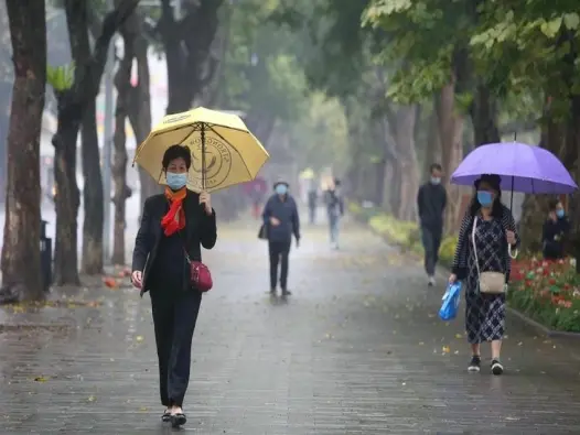 Mưa phùn là gì? Hiện tượng thời tiết đặc trưng Bắc Bộ