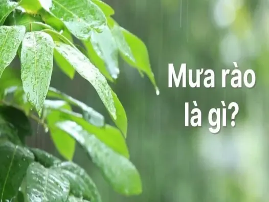 Mưa rào là gì? Hiện tượng mưa phổ biến vùng nhiệt đới