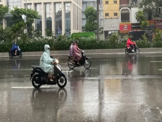 Mưa vừa là gì? Hiện tượng phổ biến trong dự báo thời tiết